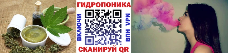Canna-Cookies конопля  Купить где  Лесной 