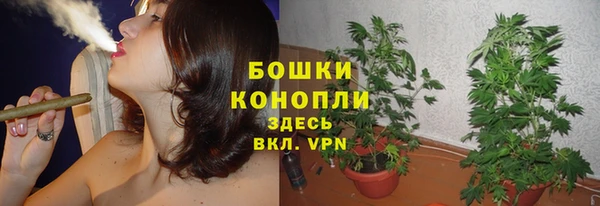 гидропоника Горнозаводск