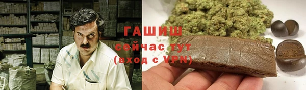 хмурый Горняк