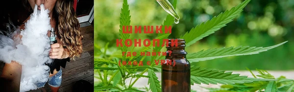 хмурый Горняк