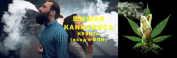 гидропоника Горнозаводск
