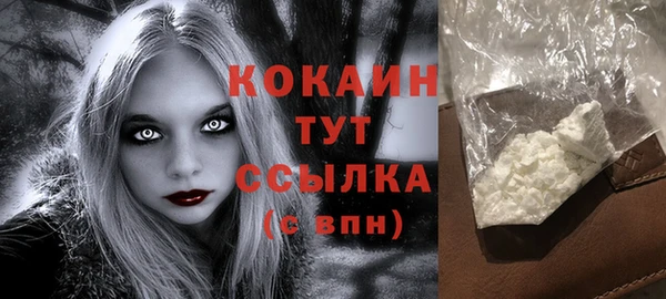 хмурый Горняк