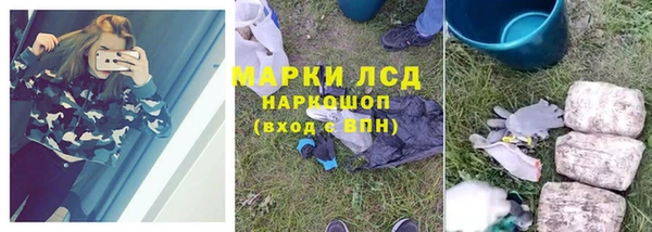 гидропоника Горнозаводск