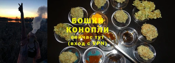 гидропоника Горнозаводск