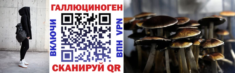 Купить где Лесной Псилоцибиновые грибы GOLDEN TEACHER
